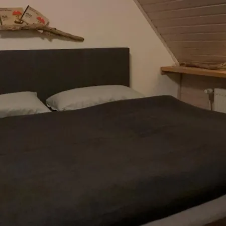 Test シュラートミンク