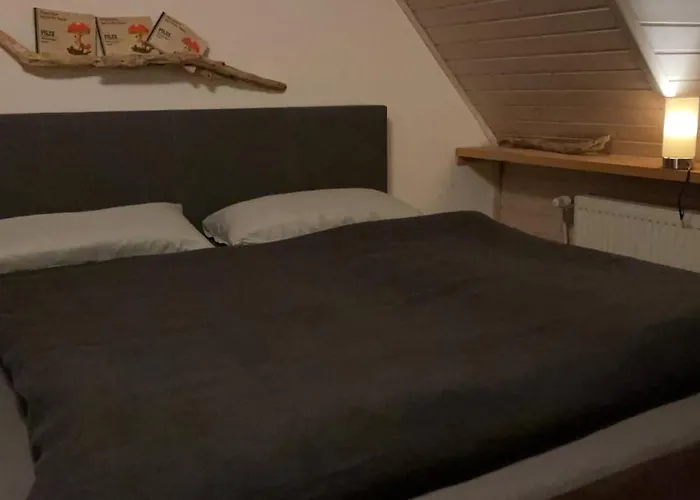 Test Шладминг